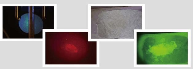 1538985561169322.jpg 12.jpg