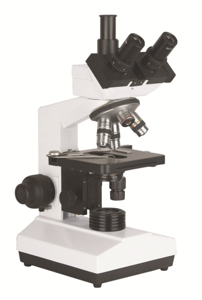 1542269808374876.jpg image139.jpg