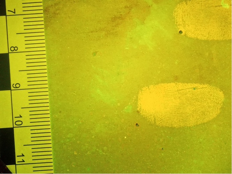 1657512469415717.jpeg image.jpeg