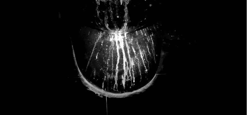 1657512638617433.jpeg image.jpeg